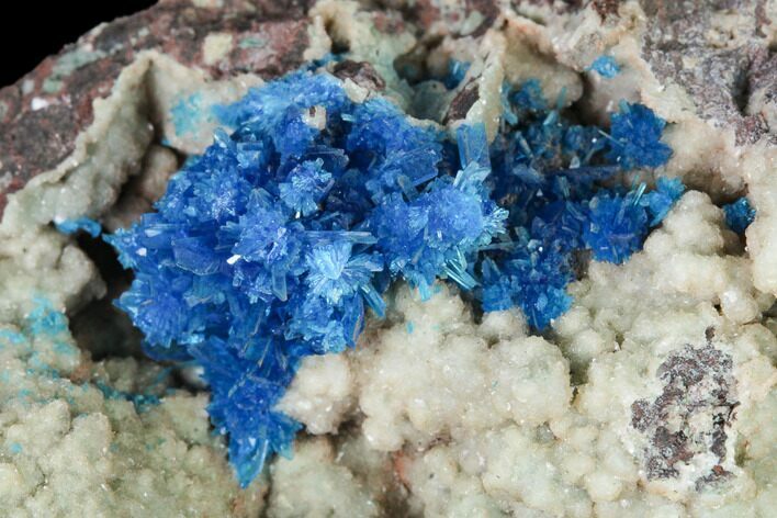 Vibrant Blue Cavansite Cluster on Stilbite - India #168236
